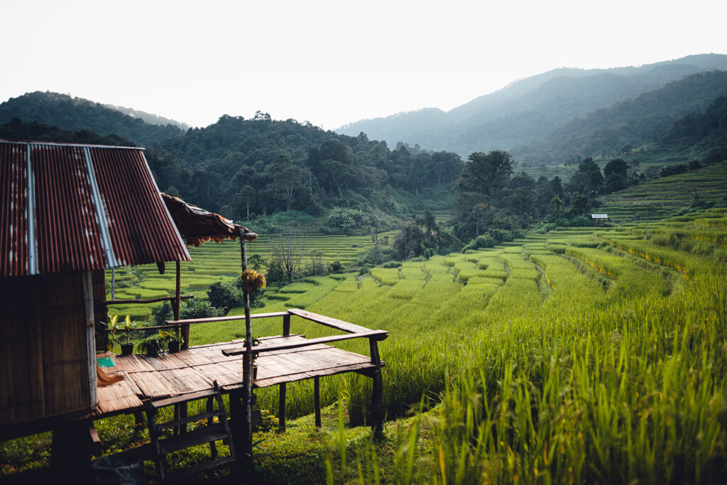 From Climate Crisis and Challenges to Becoming a Food Security Hub in Northern Thailand