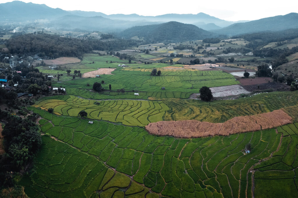 วิกฤตความท้าทายสภาพภูมิอากาศสู่การเป็นศูนย์กลาง ด้านความมั่นคงทางอาหารของภาคเหนือประเทศไทย